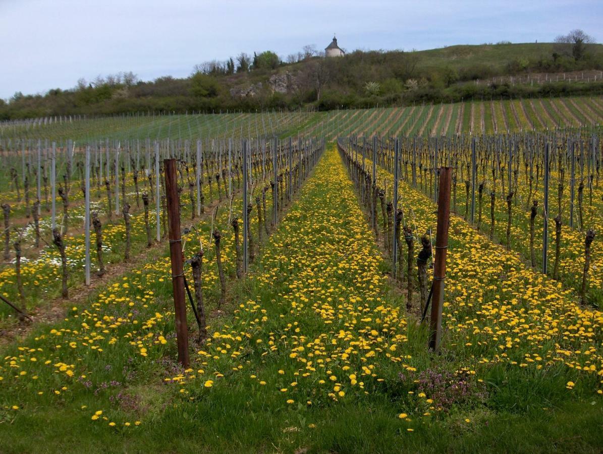 Wein-Domizil Brennofen Hotel Ilbesheim bei Landau in der Pfalz Bagian luar foto